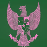 Brave Pink Hero Green APP